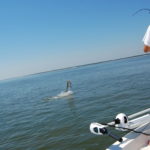 Tarpon_fishing_9-15-10_20